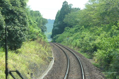 P1570747