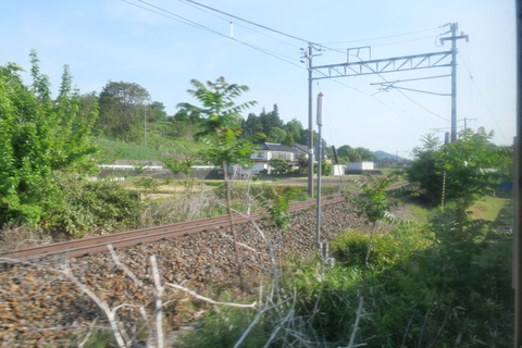 P1009254
