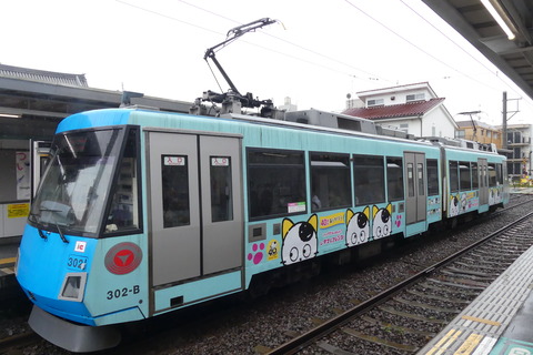 P1550377