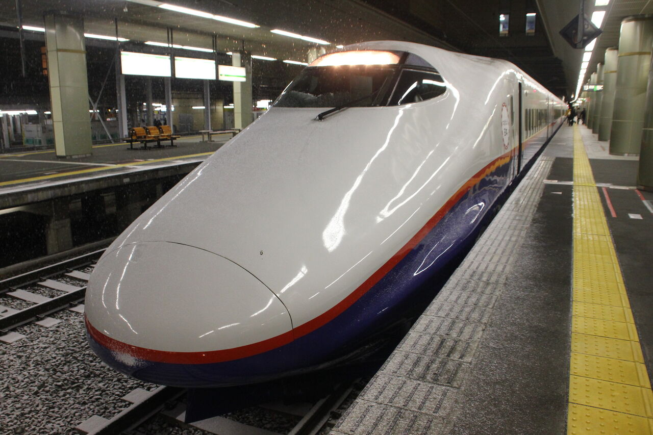 185系特急［踊り子］＆［リゾート21・黒船］乗車記【前編】（H25