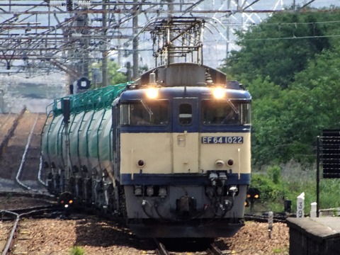 DSC04264 (2)