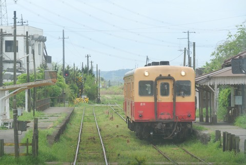 P1008542