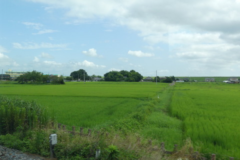 P1570415