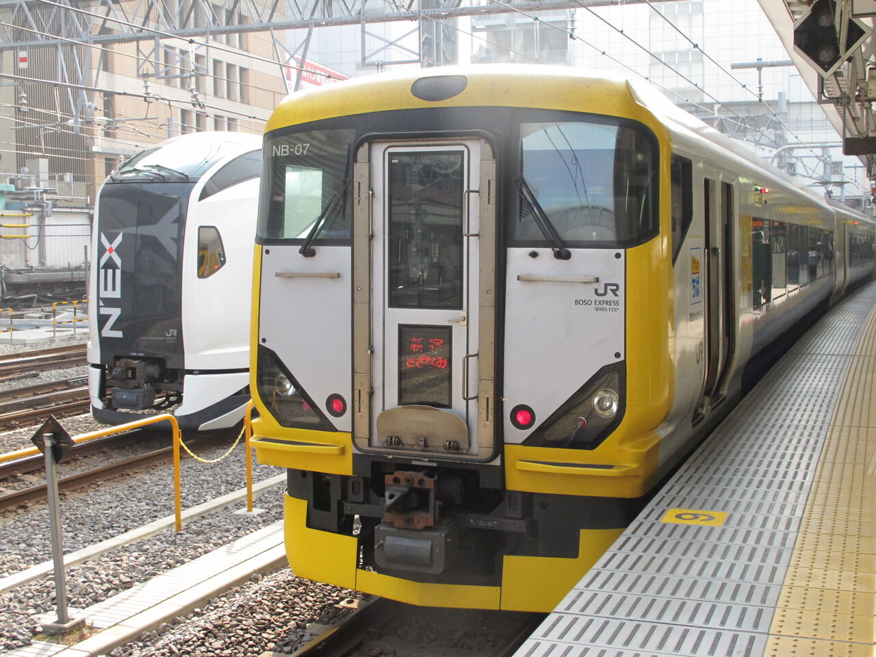 新品 E257系 500番代 わかしお さざなみ 50周年 A-8995 JR東