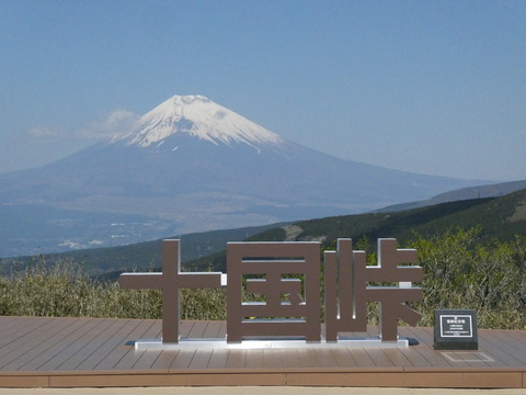 P1040390