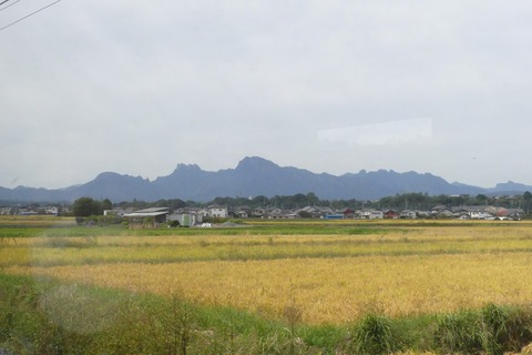 P1600733