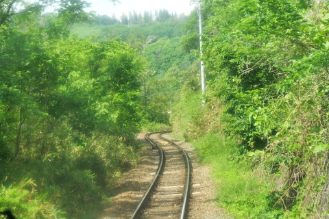 P1009282