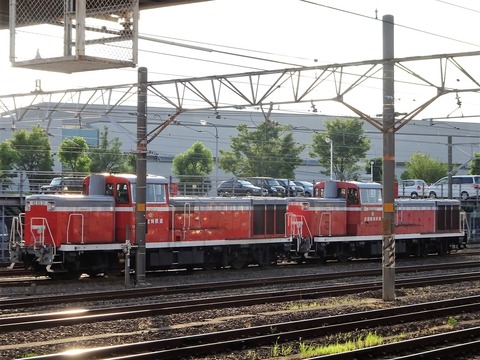 DSC04307 (2)