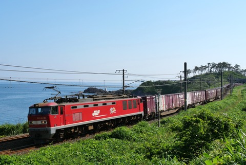 P1010573