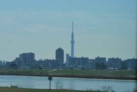 P1008105