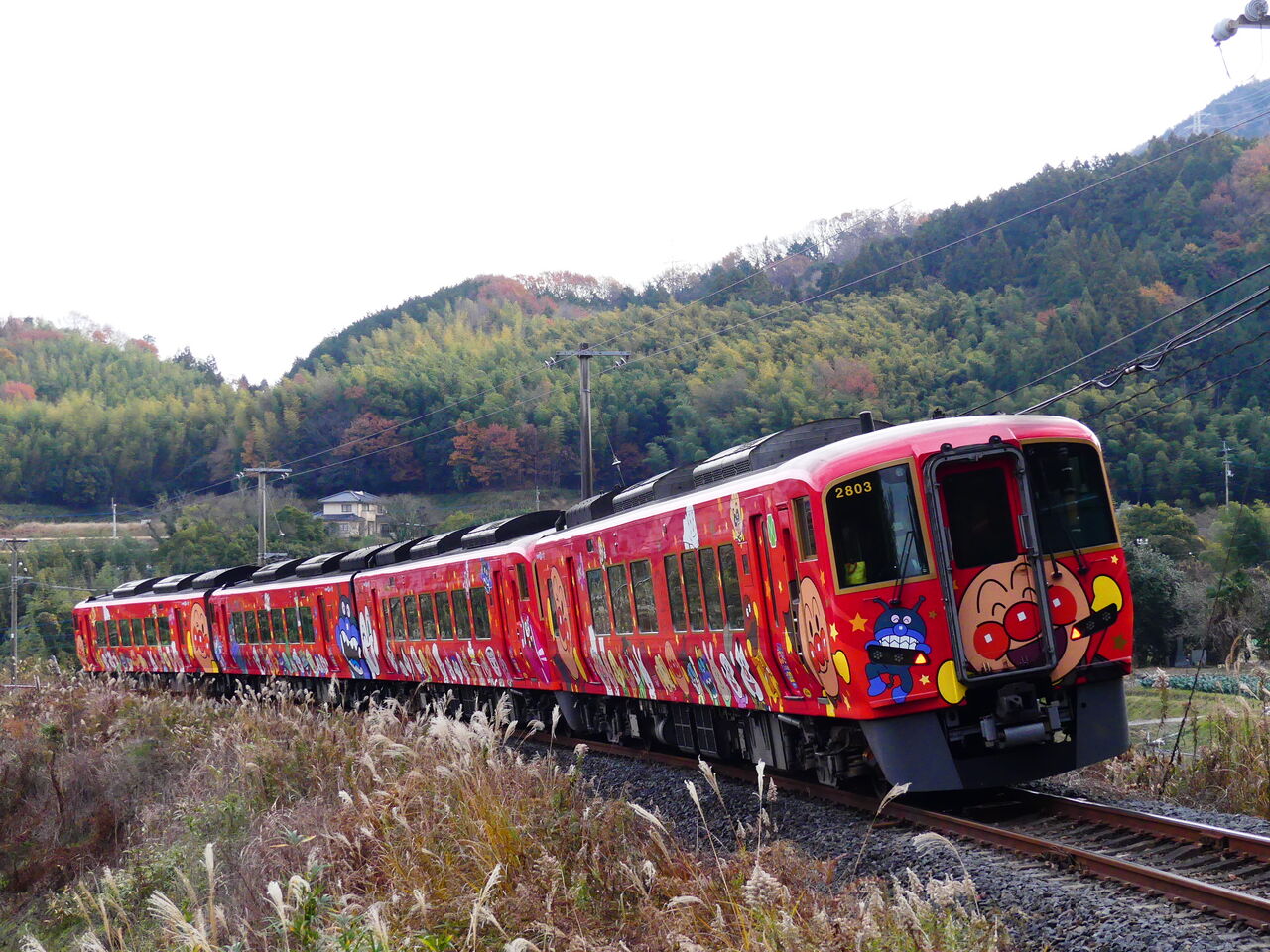 JR四国 土讃線・撮影記その⑤（R2.12.26