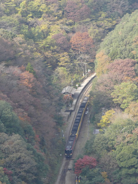 P1390018