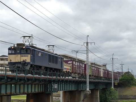 P1210357 (2)