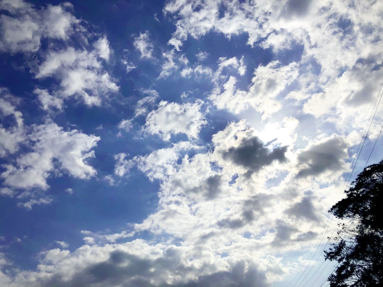 51563C63-E36C-49E7-935F-424C2388D373