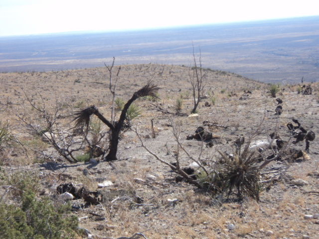 Huge Carlsbad Caverns National Park カールスバッド鍾乳洞群国立公園は広かった エレンのアメリカ日記