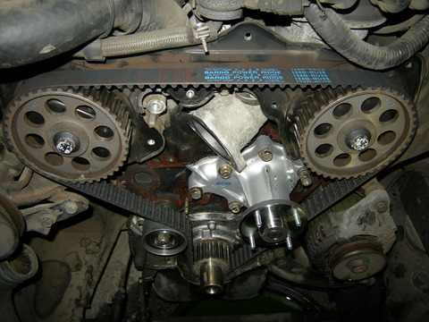 DSCN0250