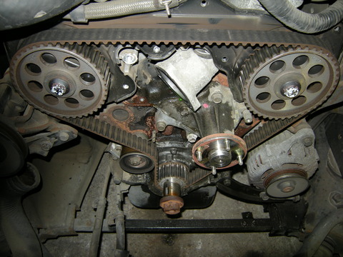 DSCN0245