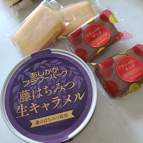 IMG20260220153940