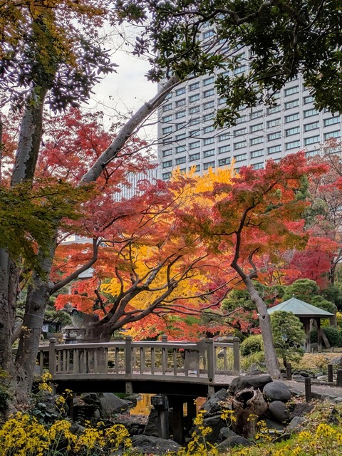 PXL_20241205_052724243~4