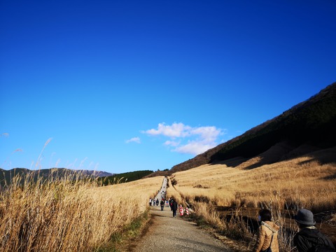 IMG_20211126_141112