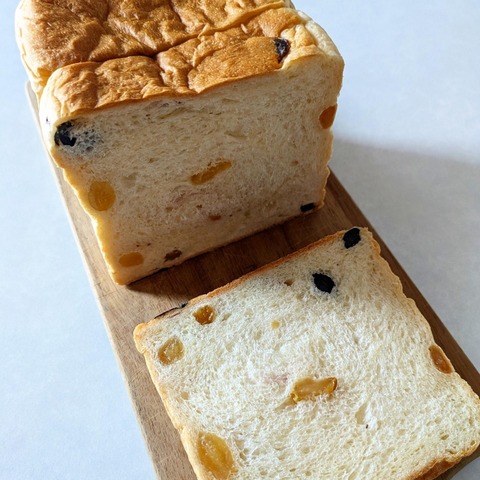 IMG_20240829_221042_408