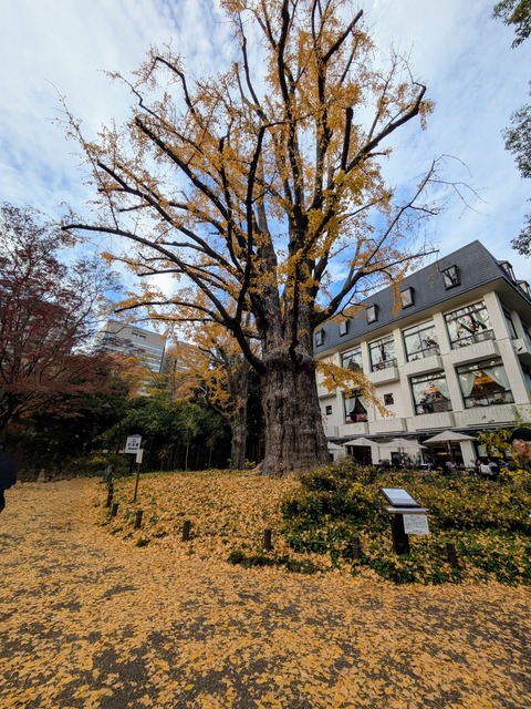 PXL_20241205_052358658~2