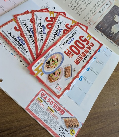 PXL_20241210_023512584~2