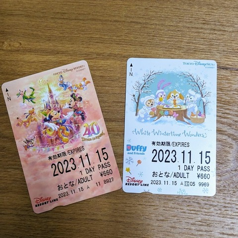 PXL_20231116_081005093