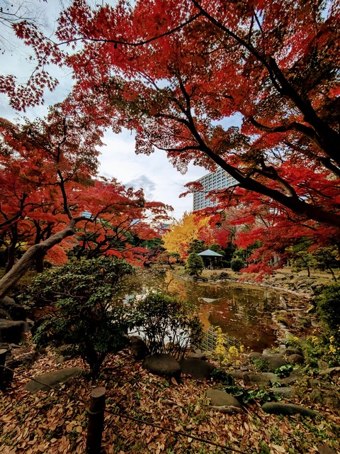 PXL_20241205_052820979~2