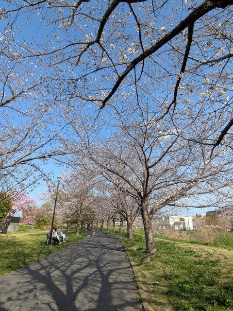 PXL_20250330_062620476