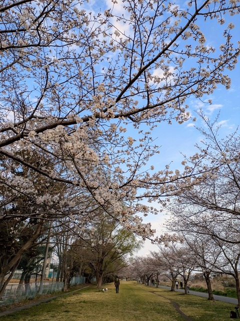 PXL_20250330_071427879~3