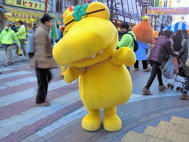 イメージ 7