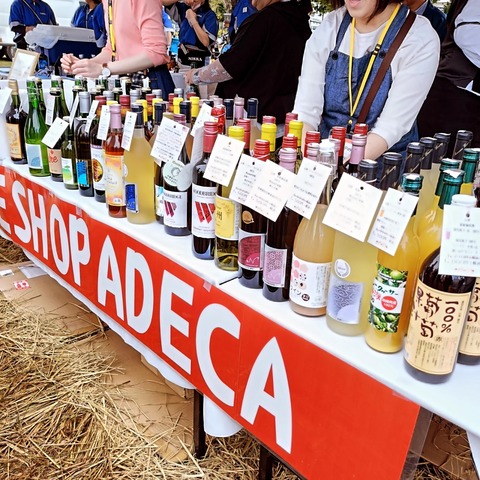 IMG_20251101_224223_303