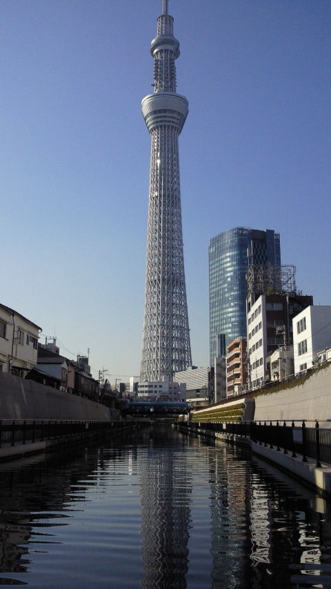 イメージ 12