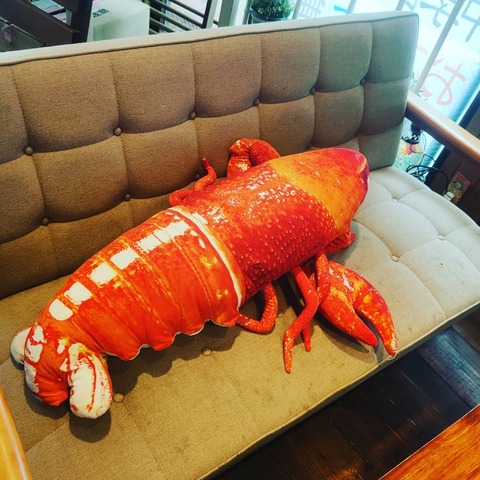 IMG_20210607_144041_374