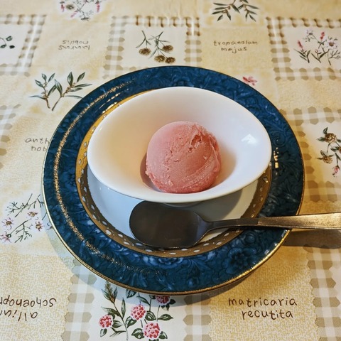 IMG_20231001_002621_254