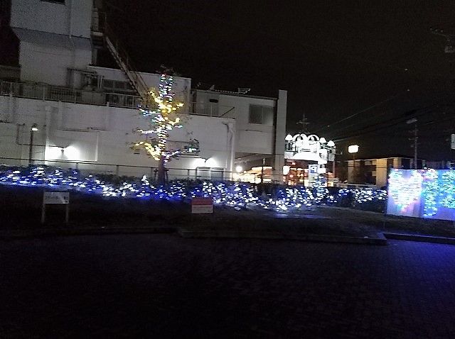 イメージ 14