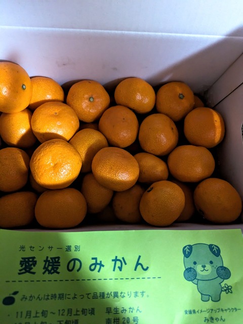 PXL_20231210_102821911