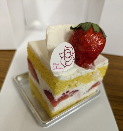 PXL_20230809_042245116~2