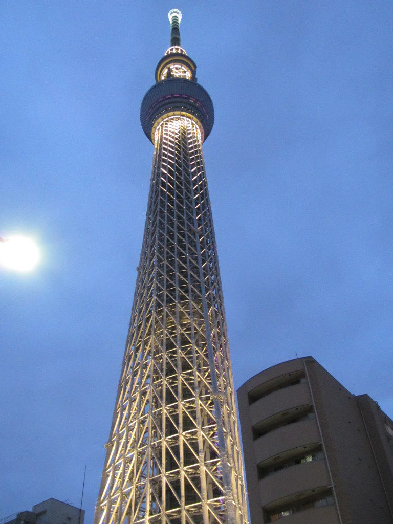 イメージ 6