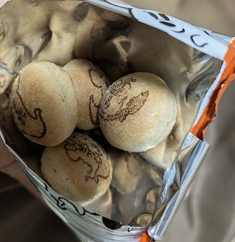 PXL_20241114_095533314~2