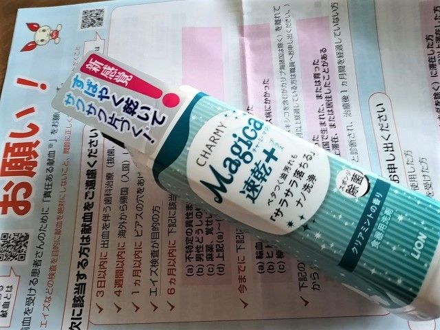イメージ 17
