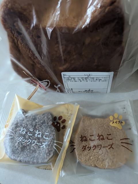 PXL_20240805_050807146~2