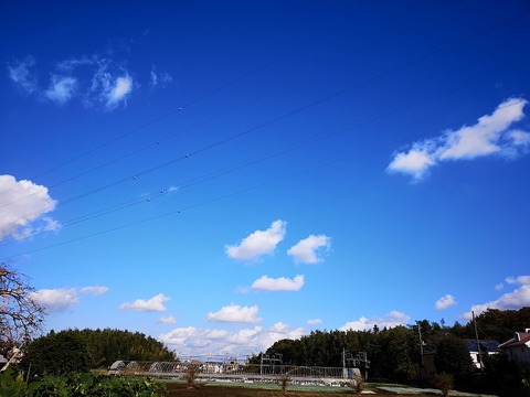 IMG_20191104_115922