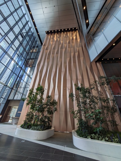 PXL_20240208_012709754