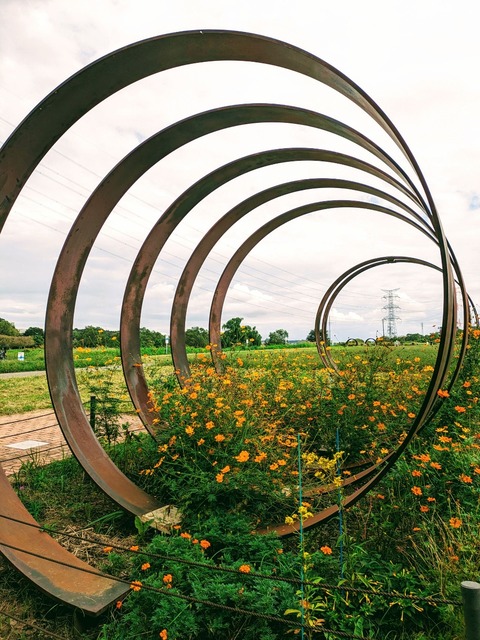 PXL_20230930_041651942~2