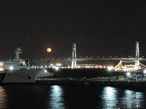 IMG20230308183638