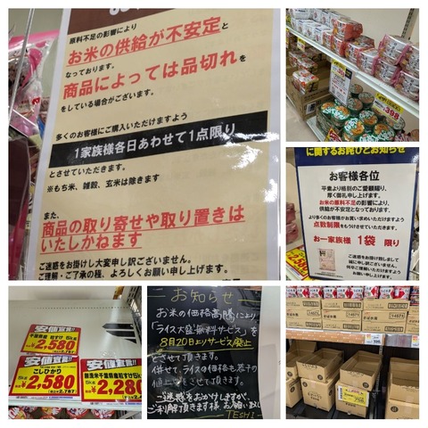 IMG_20240821_163753-COLLAGE