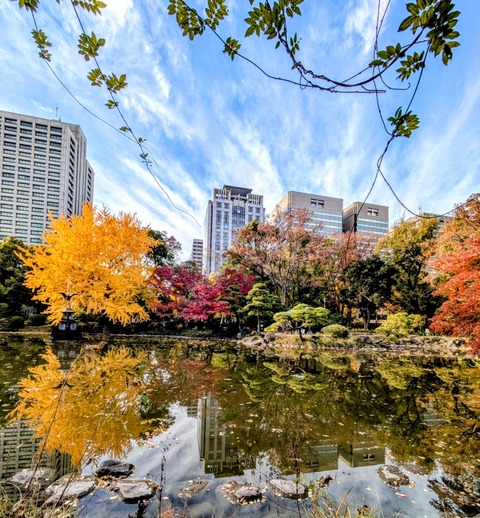 PXL_20241205_053513154~3