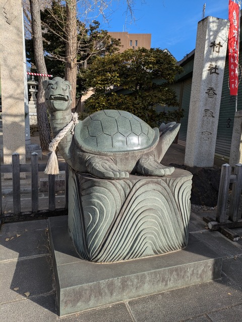 PXL_20241228_000321691